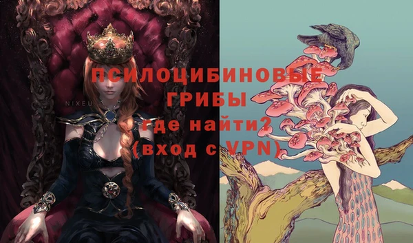 тгк Елабуга