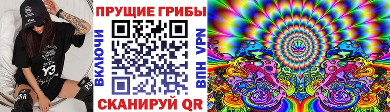 KRAKEN ССЫЛКА  Нефтекамск  Псилоцибиновые грибы ЛСД 
